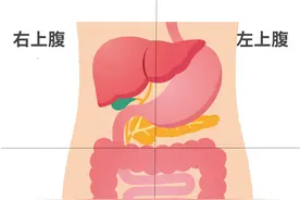 摸到了肚子上有鼓鼓的硬包，不会是得肿瘤了吧？图片