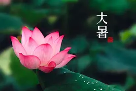 明日大暑，大暑这天下雨有什么预兆？看完这些农村谚语就知晓图片