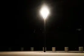 南飘的风，狂舞的叶图片