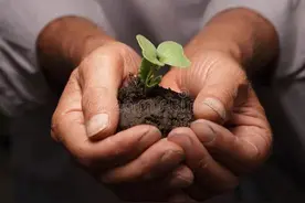 同学家人患重病，在同学群募捐，到底该不该捐款？捐多少合适？图片