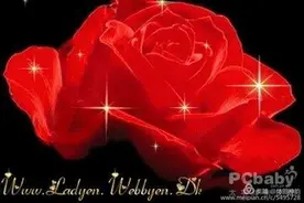 冬至·母亲·饺子图片