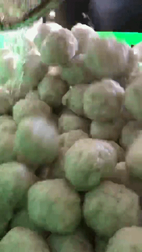 ϵݸȆֹƹ