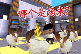 迷你世界 影分身之术教程 掩人耳目的隐藏术图片