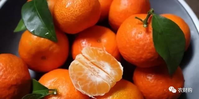 促进着色退糖？要从现在补钙镁硼！早熟不能只补钾