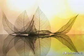 先有好丈夫，才有好妻子图片