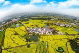 金陵村韵，美丽乡愁——南京：“五个乡村”齐发力，乡村振兴探新路图片