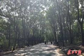 极目长江天际流，武汉江滩恢复全面开园，游客趁双休日纷纷来“打卡”图片