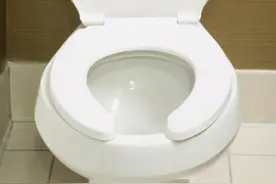 看过美国的马桶圈之后，你会觉得中国的马桶圈设计师缺根筋图片