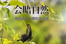 用一杯咖啡的时间，领悟自然之美图片