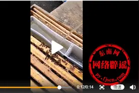 给蜜蜂喂糖水造假蜂蜜？专家回应：根据用途判定图片