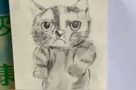 河北一小猫走失被保安逮到，还画了张小猫像招领，网友：一模一样图片