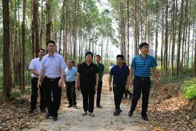 区长玉秋静：夯实举措，着力建设绿色生态图片