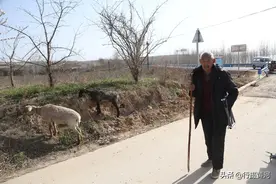 山西72岁大爷被离婚50年，现今出门带“保镖”，看活成啥样子图片