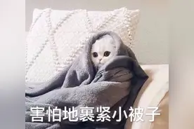 拐卖儿童？天津大街上实拍的真实一幕，刷爆了天津人的朋友圈图片