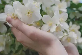 人和人的关系，都是季节性的图片