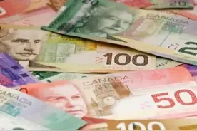 加拿大外卖平台盗刷信用卡成产业链！卡不离手几千刀没了图片