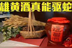 蛇到底怕什么药？科学实验打脸经验，却束手无策图片