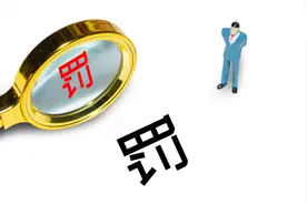 嘉澳环保虚增利润被处罚图片