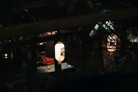 鳄鱼的眼泪图片