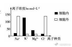 苏教版高中生物必修第一册《组成细胞的元素》教案课件视频