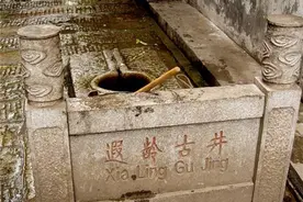 古人打完井后，为何要扔俩乌龟下去？古人的智慧让人折服图片