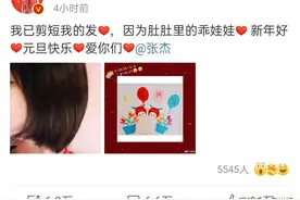张杰谢娜官宣怀二胎，秀出的剪纸照片含深意，又是双胞胎？图片