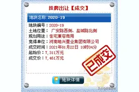 平顶山叶县城区核心位置两宅地网拍，全部溢价成交图片