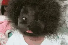 小孩新弄的爆炸发型，很搞笑呆萌，17张搞笑动图，一次笑个够图片