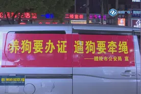 醴陵：养犬“身份证”一站式办理图片