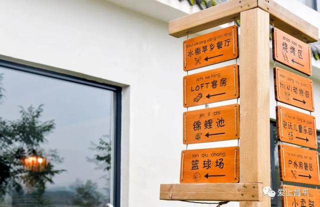 秋日农场嗨玩!露营野餐,种菜摘果,过向往的田园生活