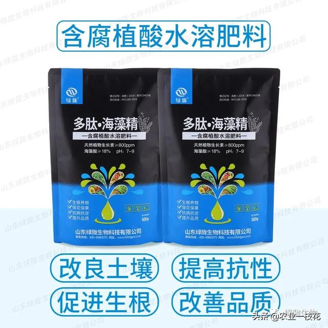 认识一下海藻精