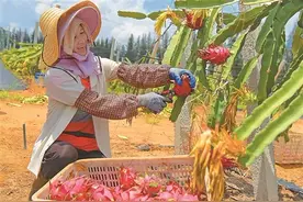 最高1000万！桂林17地获财政奖励图片