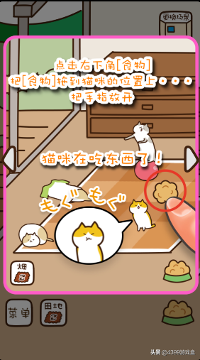 《猫咪田园》萌系猫咪养成游戏，猫咪爱好者的狂欢！3月12日上线