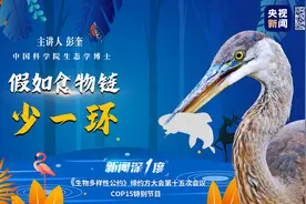 新闻深1度°丨生物多样性到底是啥？打开食物链告诉你图片