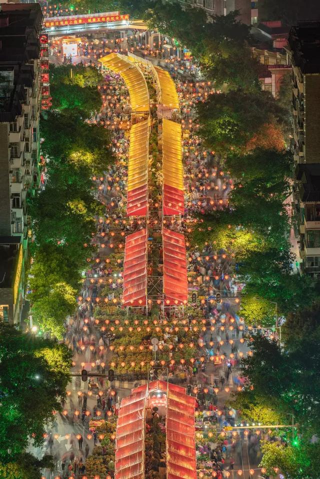 迎春看花，这些寓意你可能并不知道