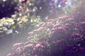 伴读：半桶水图片