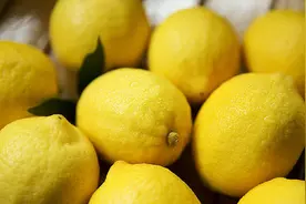 柠檬1月精细管理技术图片