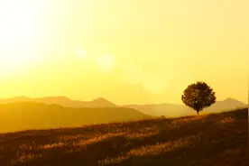 如何做出正确决定？图片