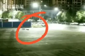狗妈妈凌晨投奔消防队 离开时忍痛“遗弃”三个宝宝！结局很暖...图片