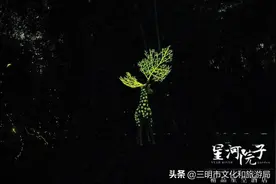 宝，有你和萤火虫的夜晚，才是最浪漫的仲夏图片