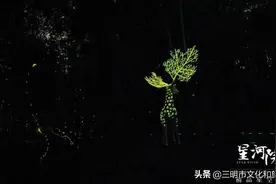 宝，有你和萤火虫的夜晚，才是最浪漫的仲夏图片