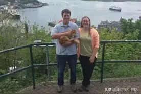 橘猫界的“街溜子”！每天溜达5公里，蹭吃蹭喝蹭抱抱，太无解了图片