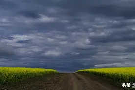 两个动作让你的毛笔听话，写出米芾所说无垂不缩无往不复的点画图片