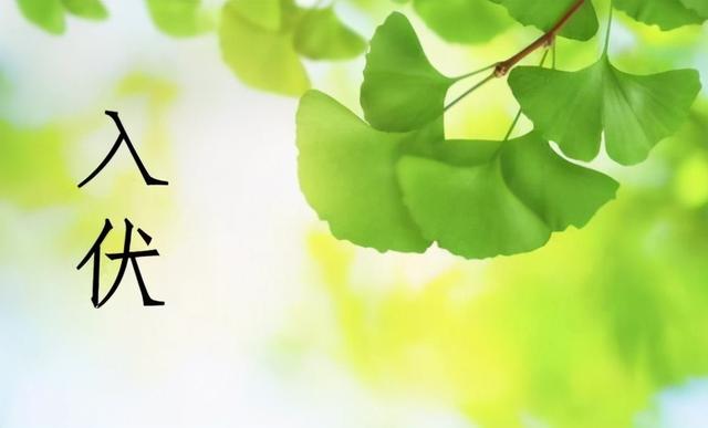 三伏养生要点早知道，中医方法面面俱到，冬病夏治你准备好了吗？