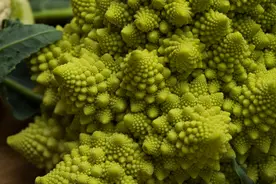 我的脚底长了“菜花”图片