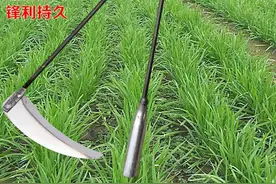 碳排放权游戏，中国如何由韭菜变成镰刀图片