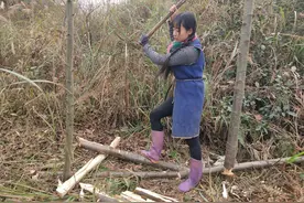 四川农村95后姑娘砍柴背砖干农活养活4口人，看她生活成啥样图片