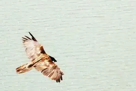 西藏萨普神山现在为什么那么火，看完总算明白了图片