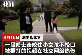 小区物业打死咬伤女孩哈士奇：狗主人仍未找到图片
