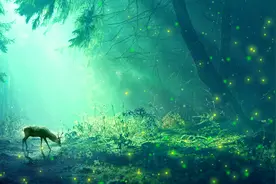 一个人即将走好运的迹象图片